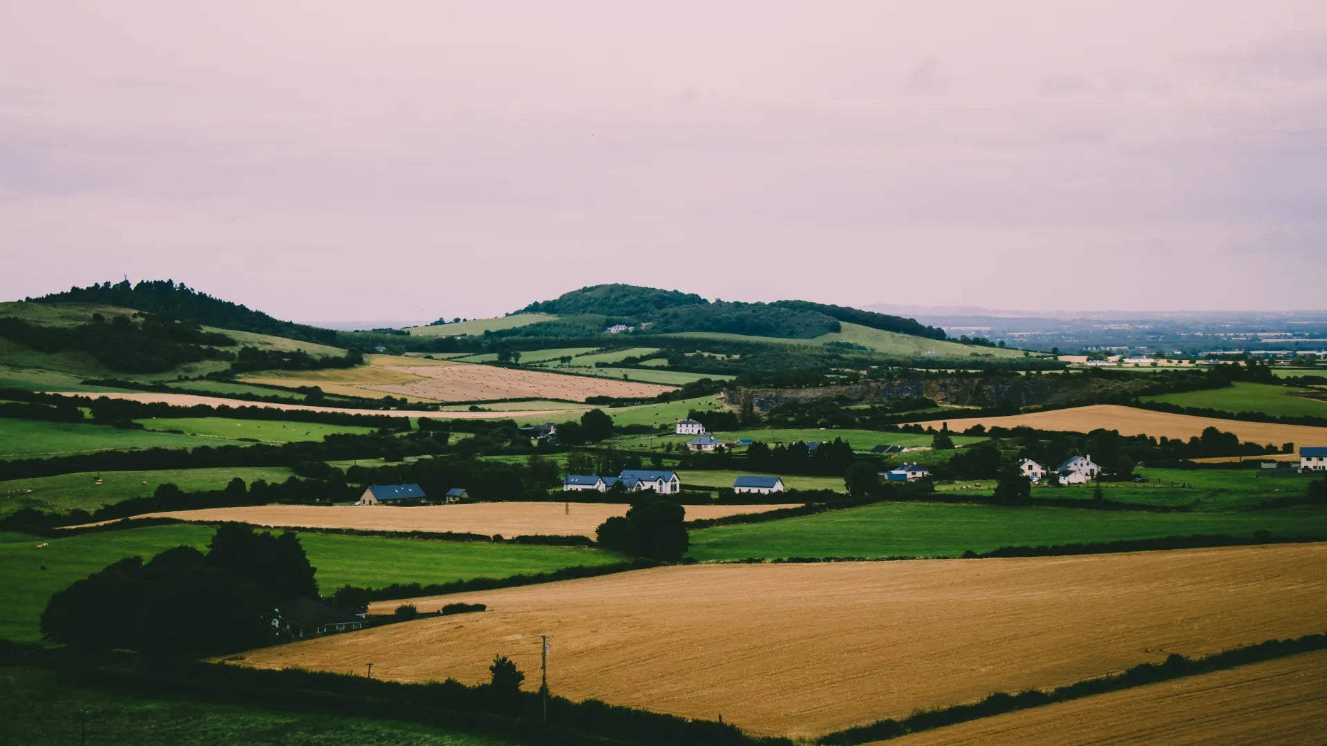 Move Smooth homepage hero illustration showing houses dotted across a rural countryside landscape
